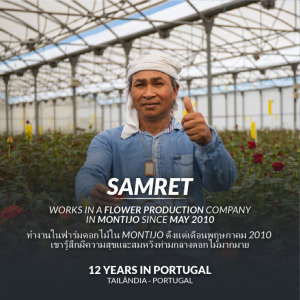 Samret works on a flower farm in Montijo since May 2010, he feels happy and fulfilled in the middle of so many flowers. He is the spokesperson for the Thai Workers' group, a key element of this great team that has a lot of respect and trust for him. ____ คุณSamret ทำงานในฟาร์มดอกไม้ใน Montijo ตั้งแต่เดือนพฤษภาคม 2010 เขารู้สึกมีความสุขและสมหวังท่ามกลางดอกไม้มากมาย เขาเป็นตัวอย่างแรงงานไทยซึ่งเป็นองค์ประกอบสำคัญของทีมที่ยอดเยี่ยมนี้ซึ่งนายจ้างมีความไว้วางใจในตัวเขาเป็นอย่างมาก